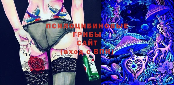 ГАЛЛЮЦИНОГЕННЫЕ ГРИБЫ Бабаево