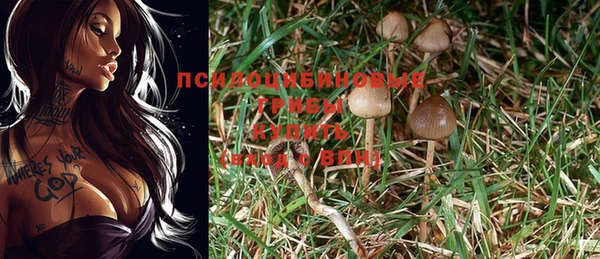 МДМА Бородино