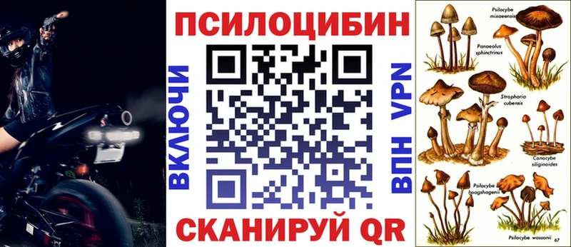 Галлюциногенные грибы MAGIC MUSHROOMS  Вилючинск 